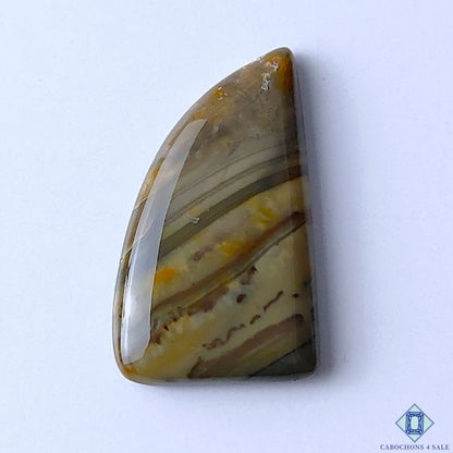 Creek Jasper