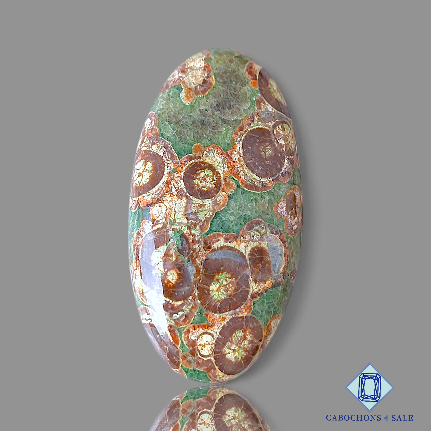 Crocodile Jasper