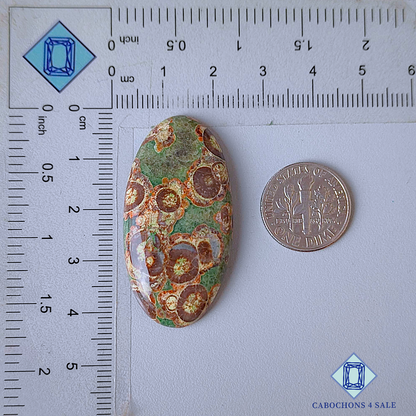 Crocodile Jasper