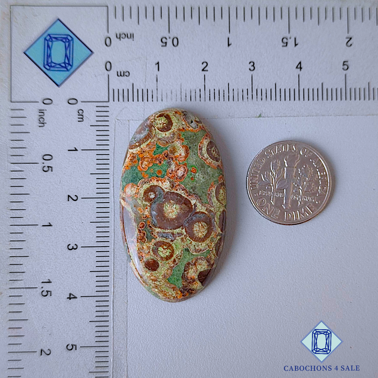 Crocodile Jasper
