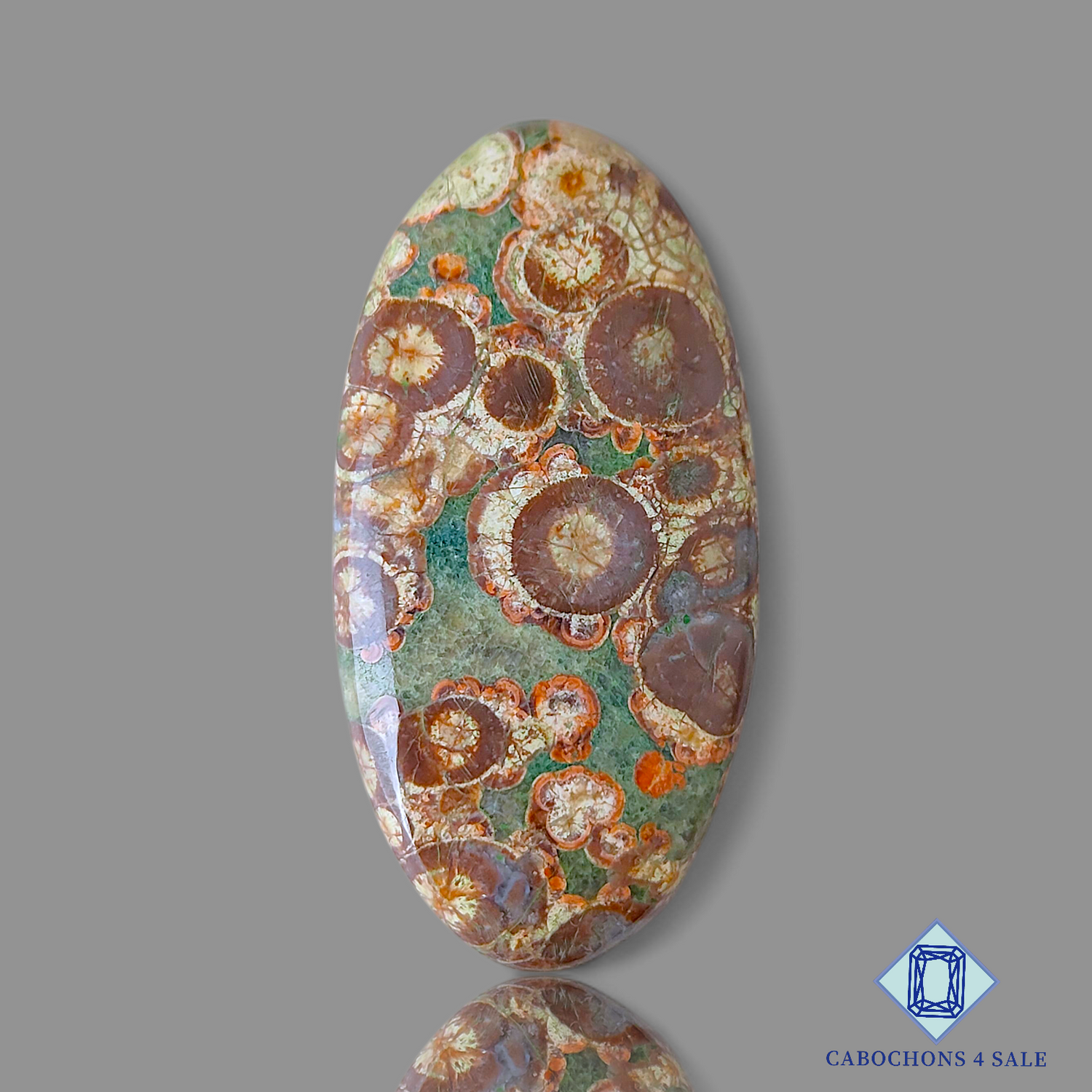 Crocodile Jasper