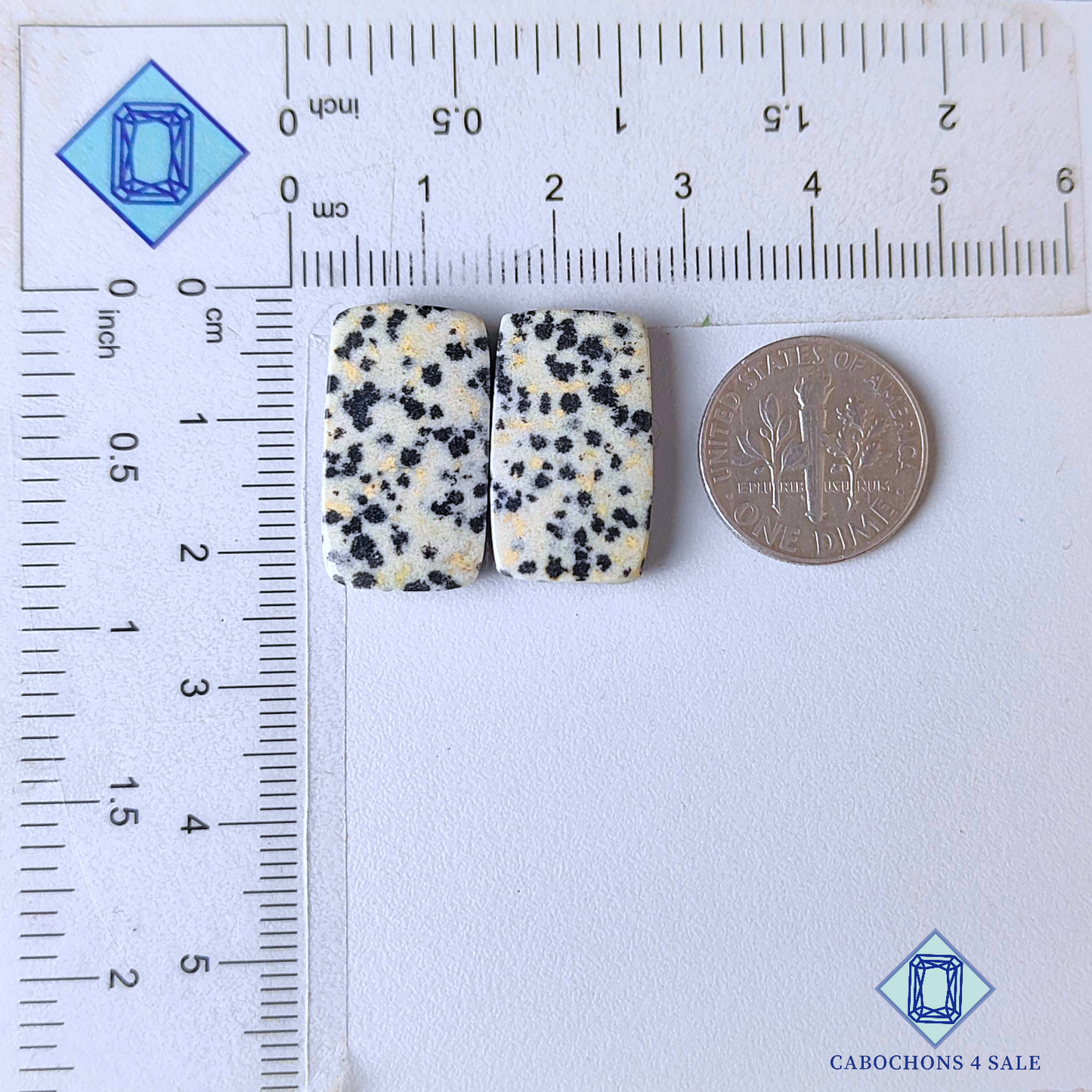 Dalmatian Jasper Fancy Pairs