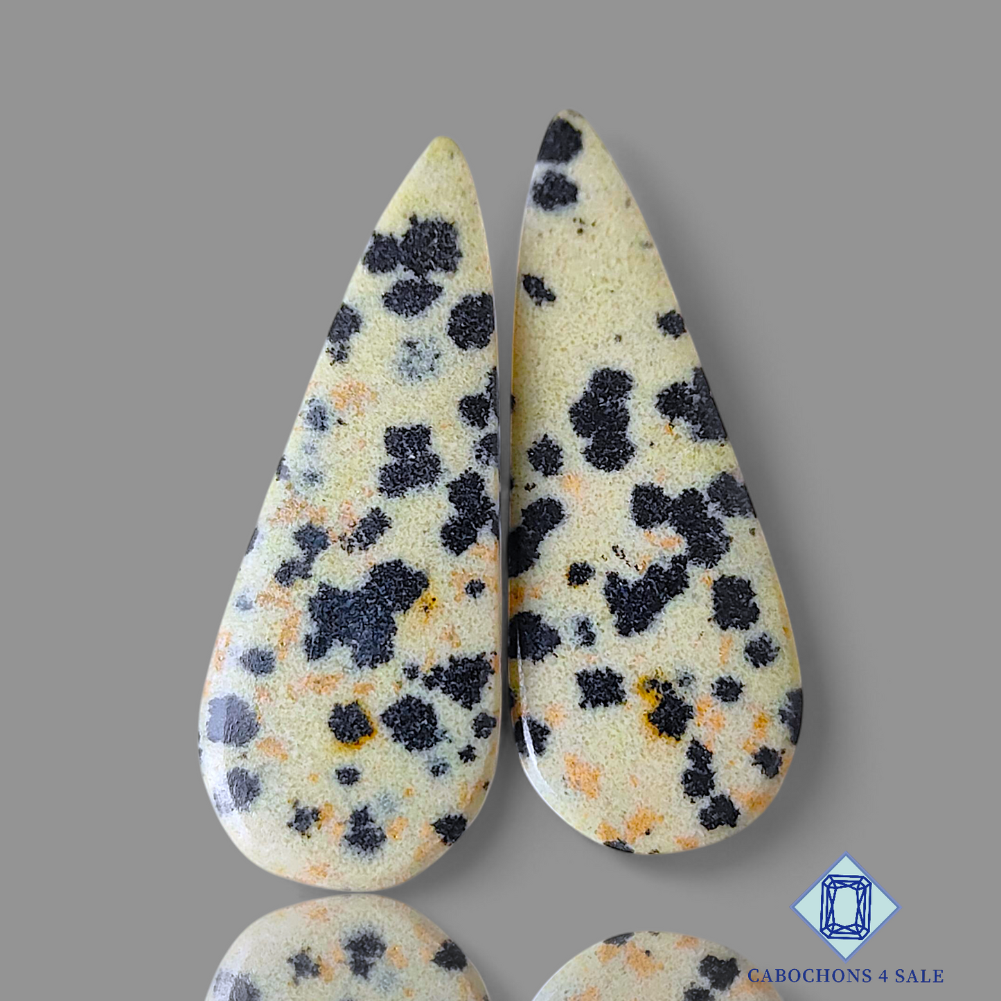 Dalmatian Jasper