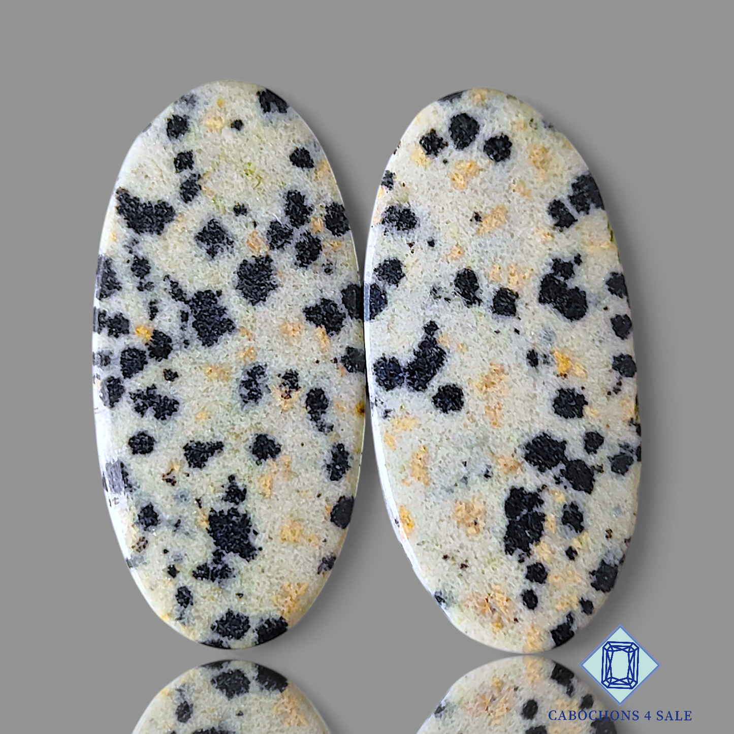 Dalmatian Jasper