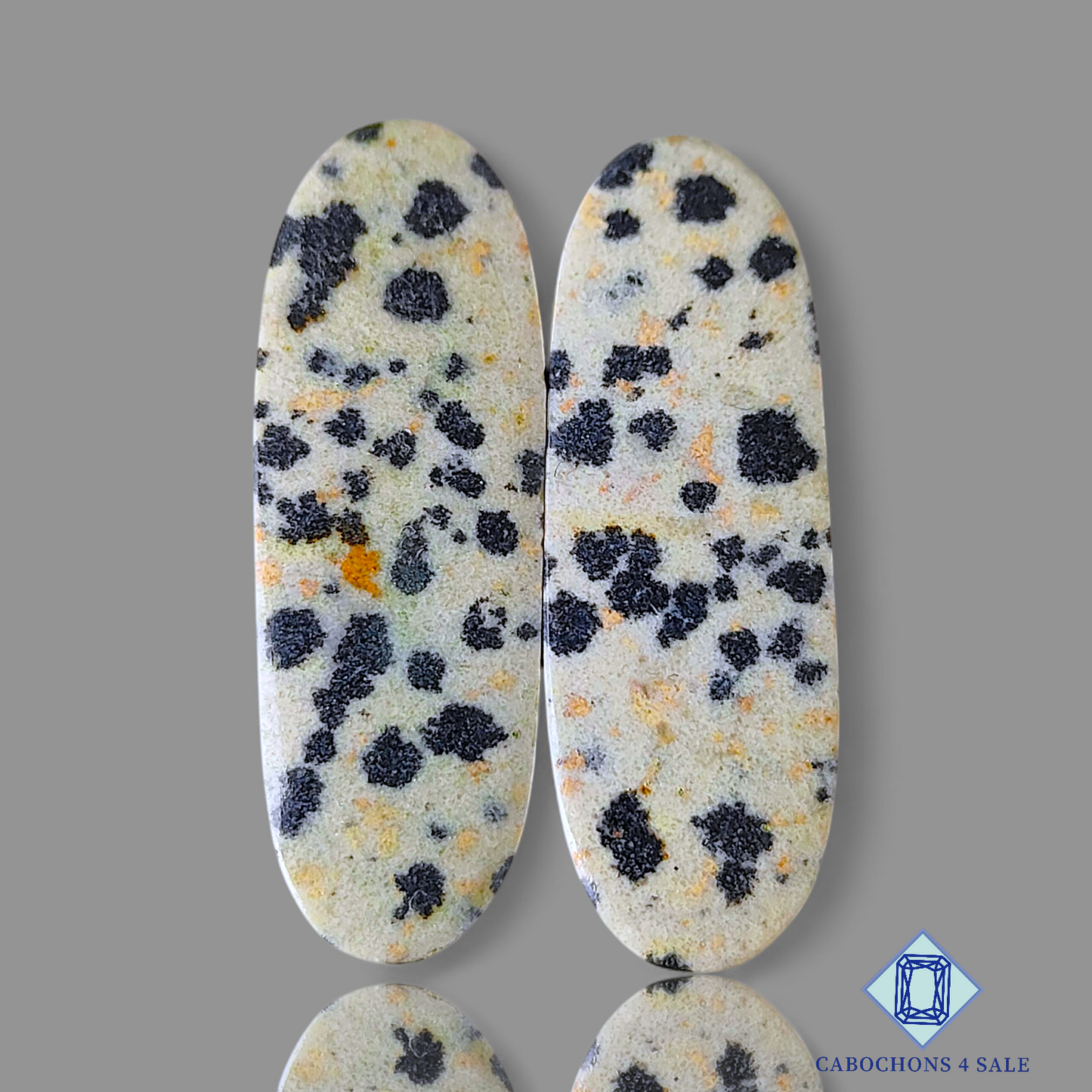 Dalmatian Jasper
