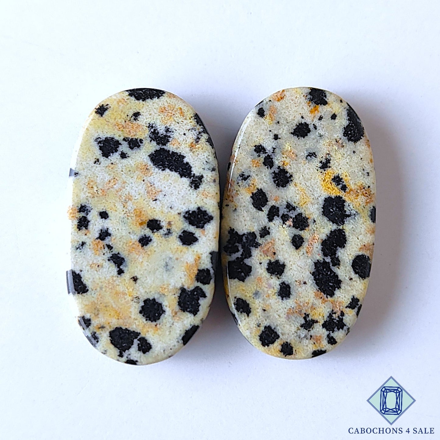 Dalmatian Jasper