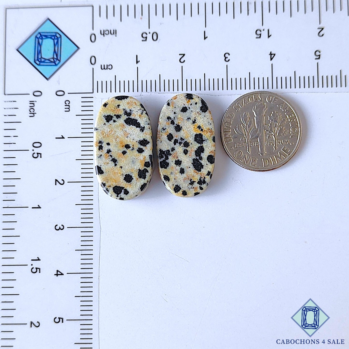 Dalmatian Jasper