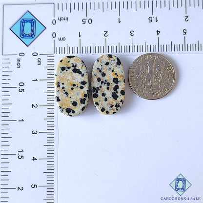 Dalmatian Jasper