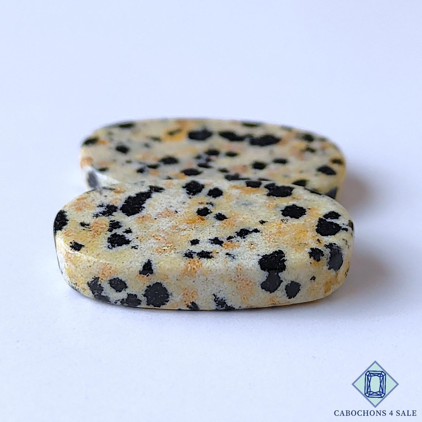 Dalmatian Jasper