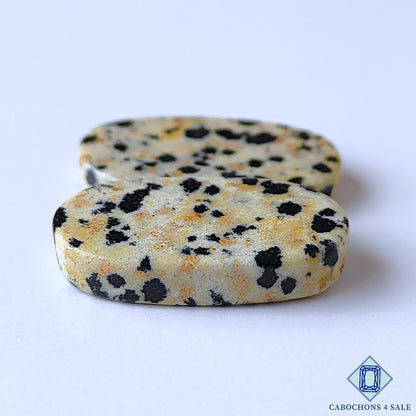 Dalmatian Jasper