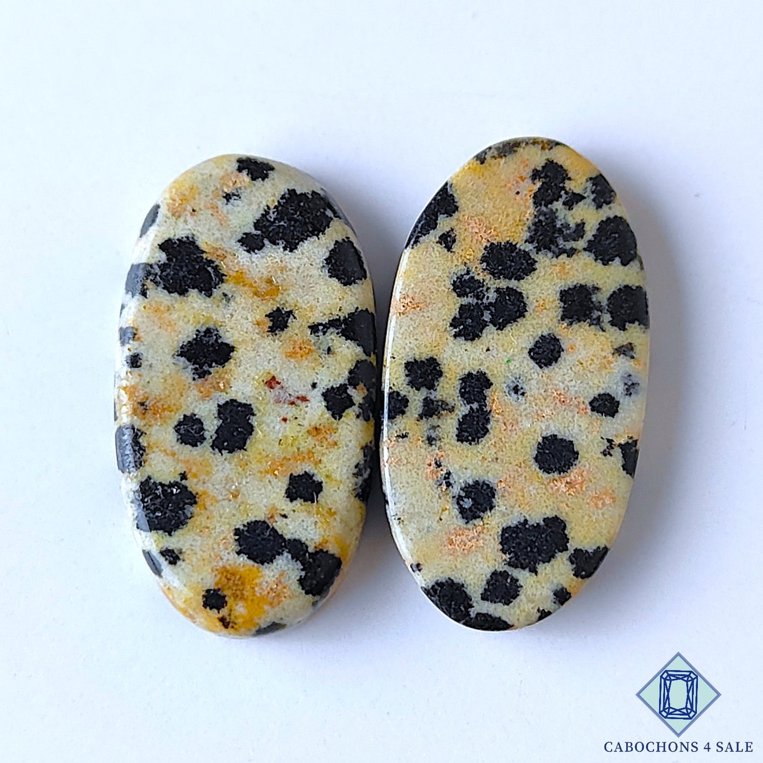 Dalmatian Jasper
