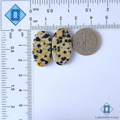 Dalmatian Jasper