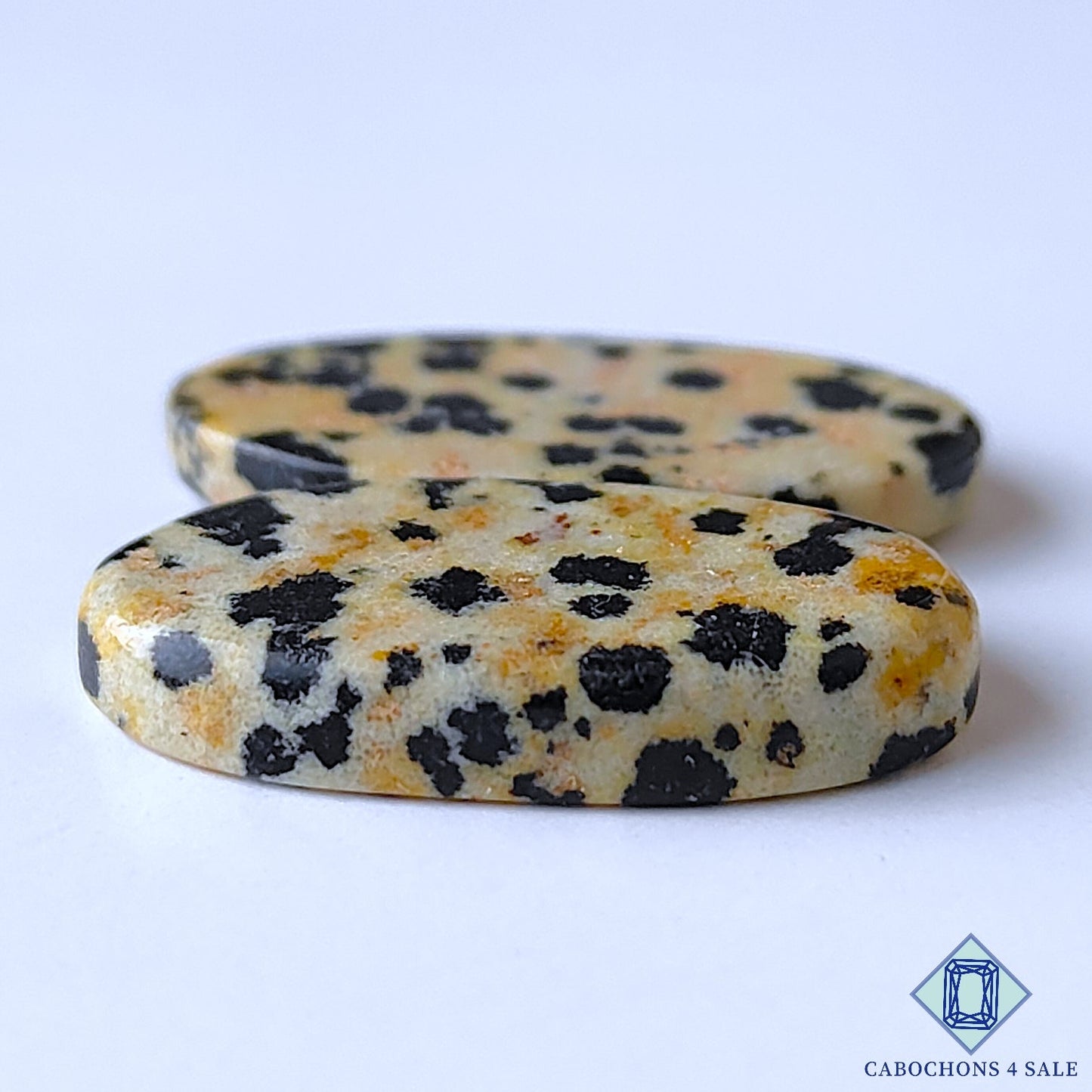 Dalmatian Jasper