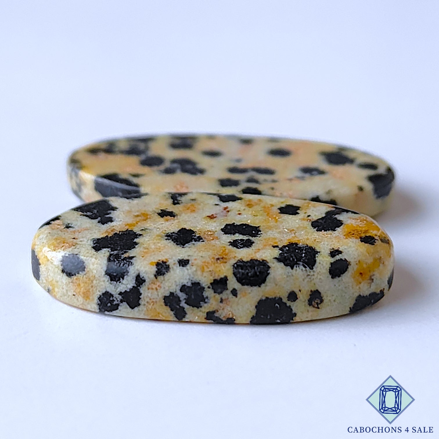 Dalmatian Jasper