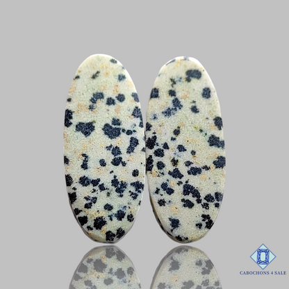 Dalmatian  Jasper