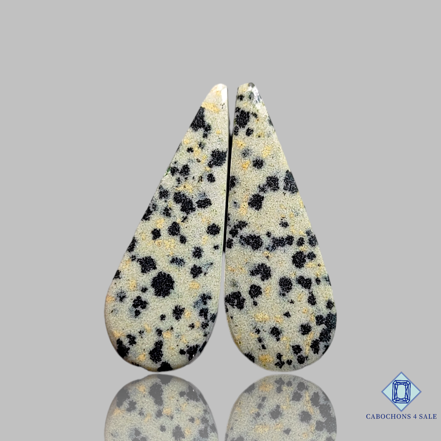 Dalmatian  Jasper