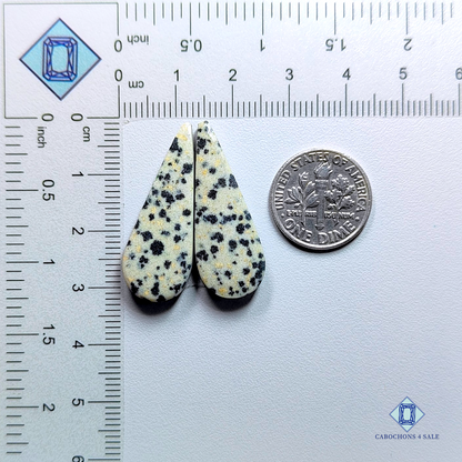 Dalmatian  Jasper