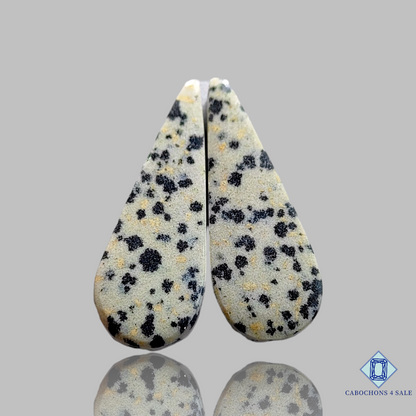 Dalmatian  Jasper