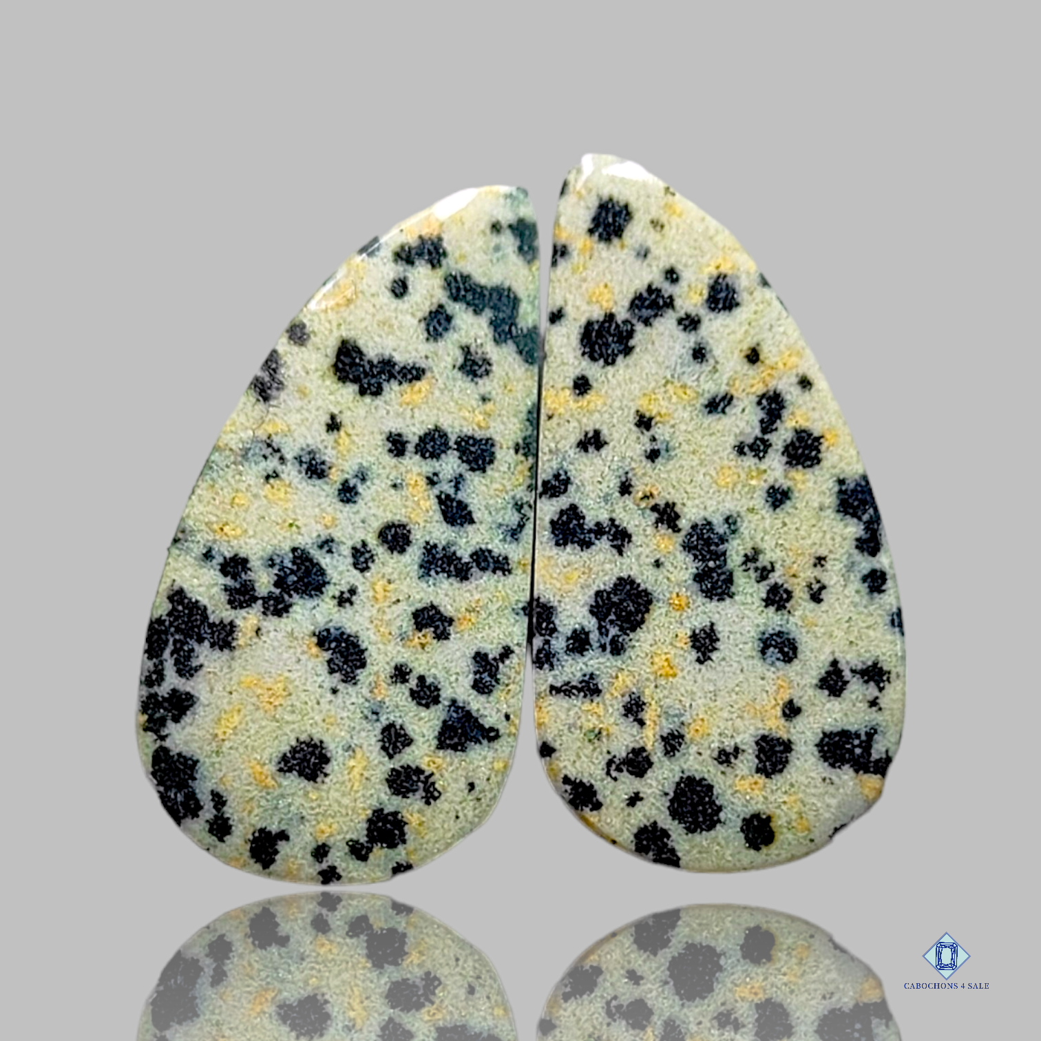 Dalmation  jasper