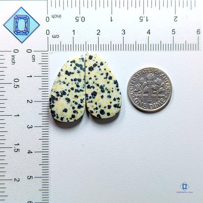 Dalmation  jasper