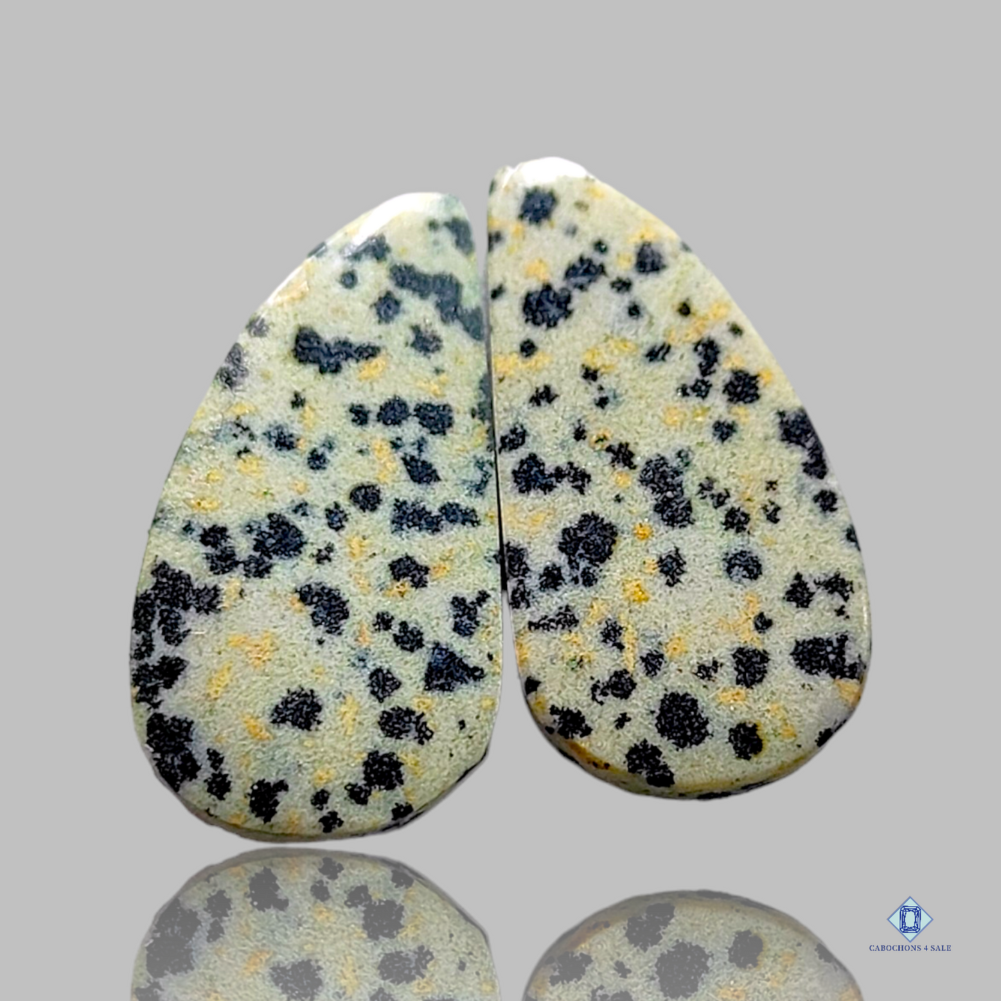 Dalmation  jasper