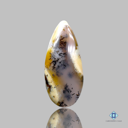 Dendritic Agate