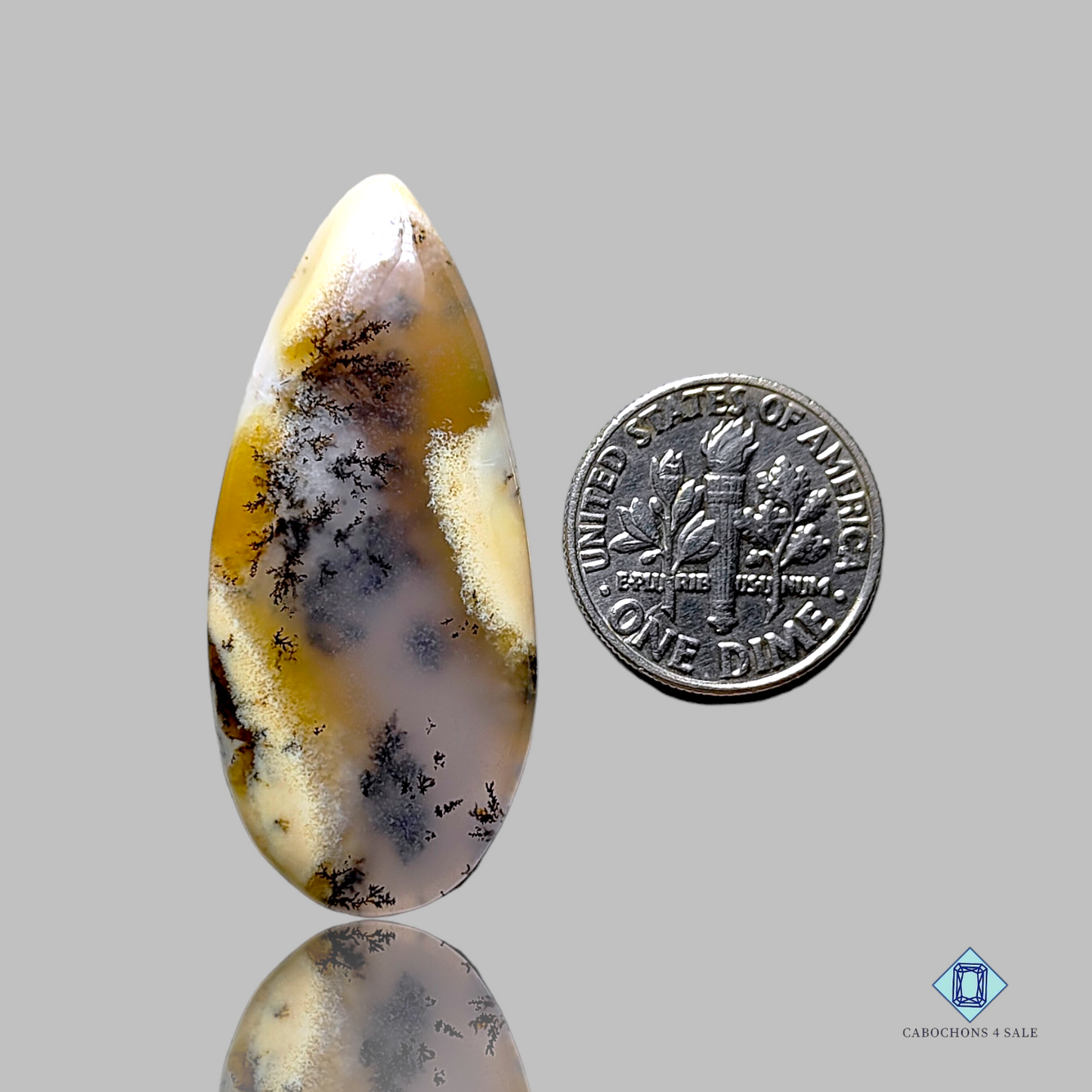 Dendritic Agate