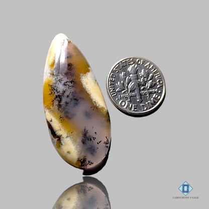 Dendritic Agate