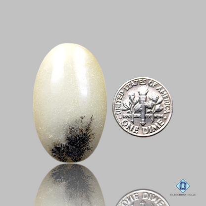 Dendritic Agate