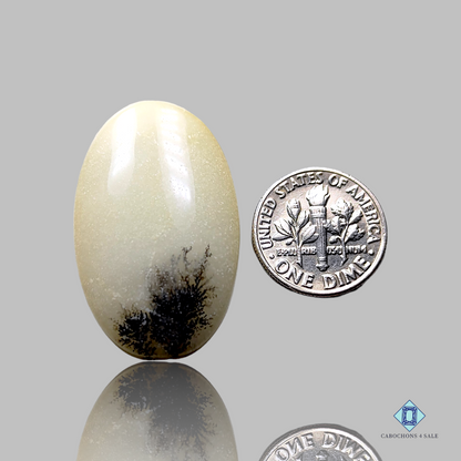 Dendritic Agate