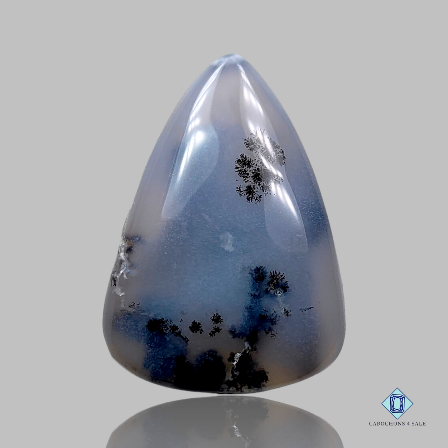 Dendritic Agate