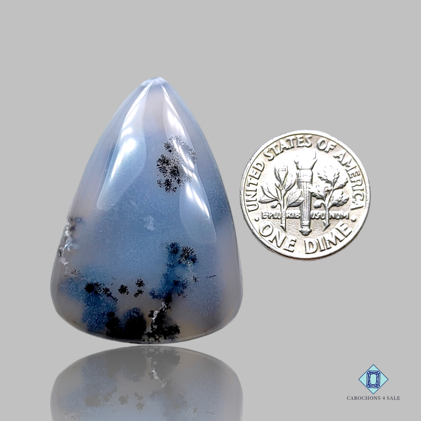 Dendritic Agate