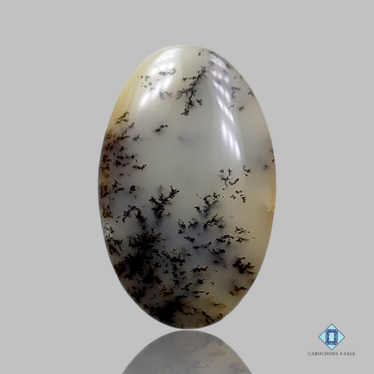 Dendritic Agate