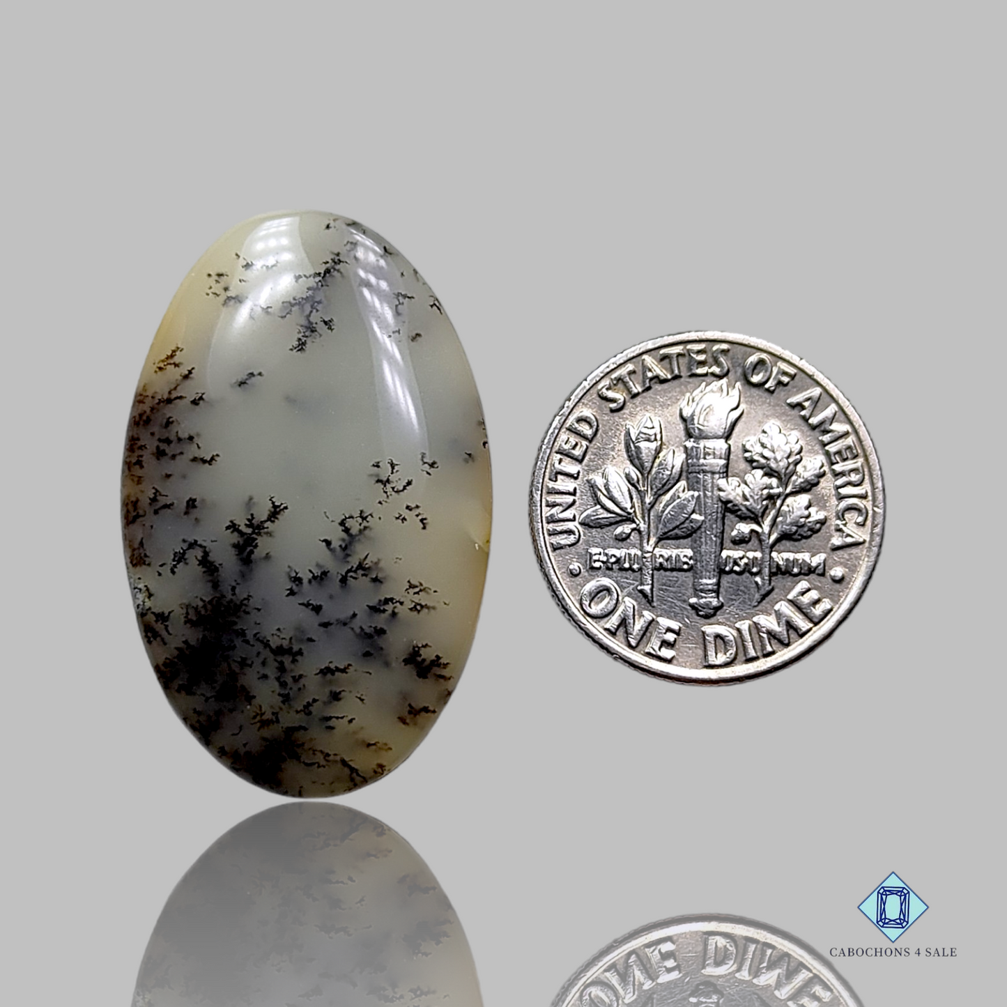 Dendritic Agate