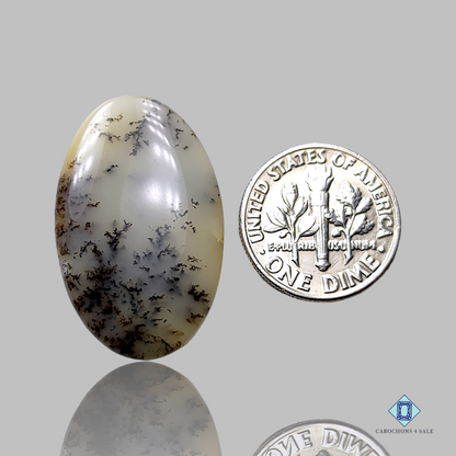 Dendritic Agate