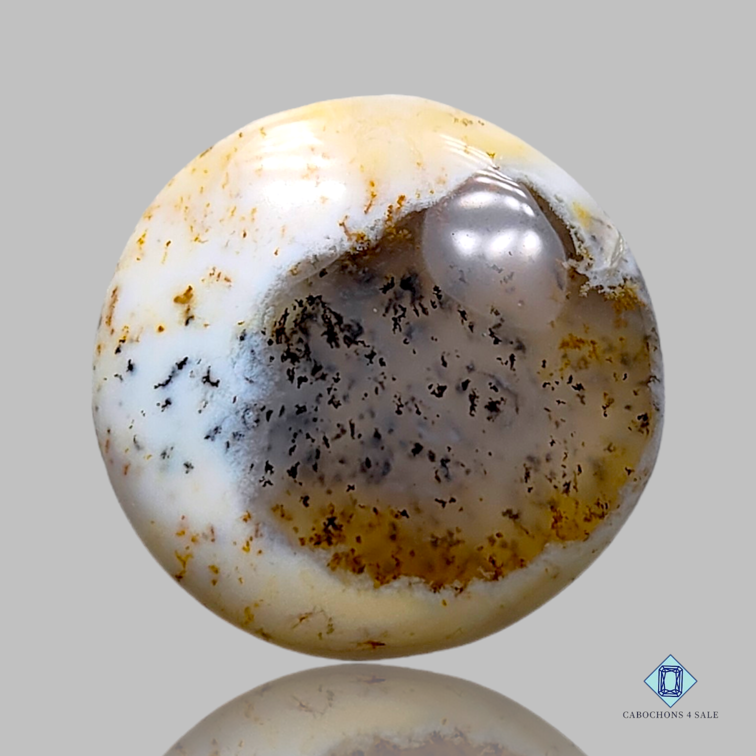 Dendritic Agate