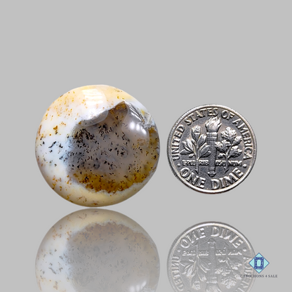 Dendritic Agate