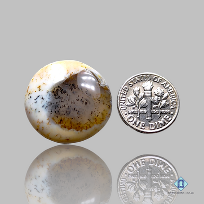 Dendritic Agate