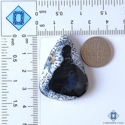 Dendrite Agate