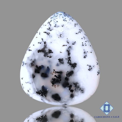 Dendrite Agate