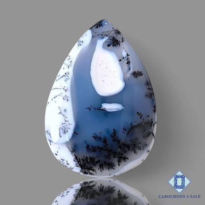 Dendrite Agate