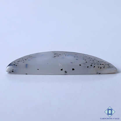 Dendrite Opal