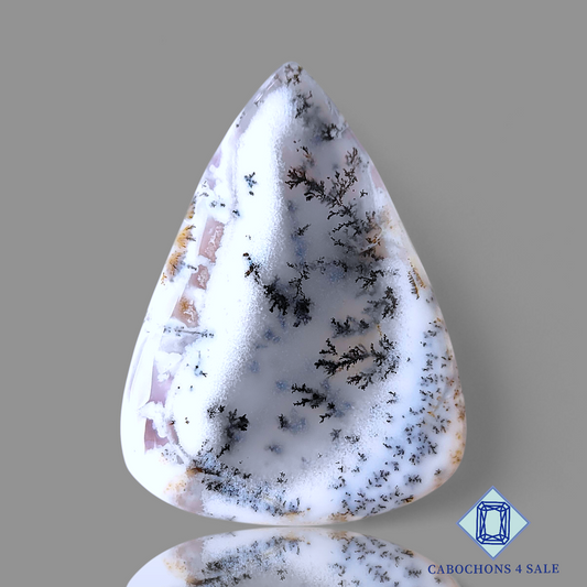 Dendritic Agate
