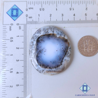 Dendritic Agate Oval Cabochons 41*35*6mm
