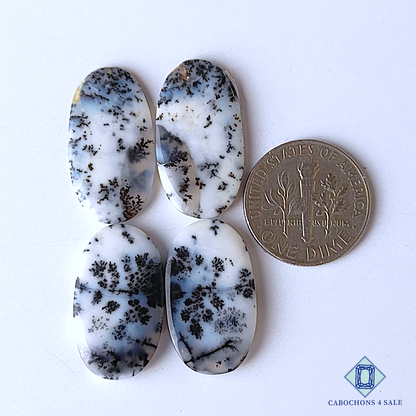 Dendritic Agate