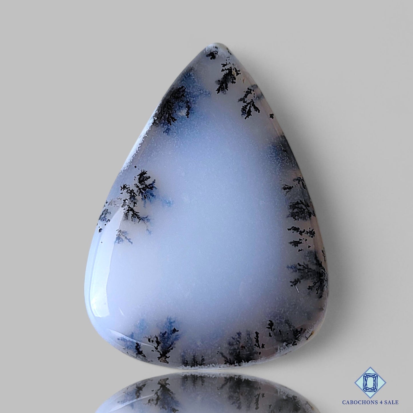 Dendritic Agate
