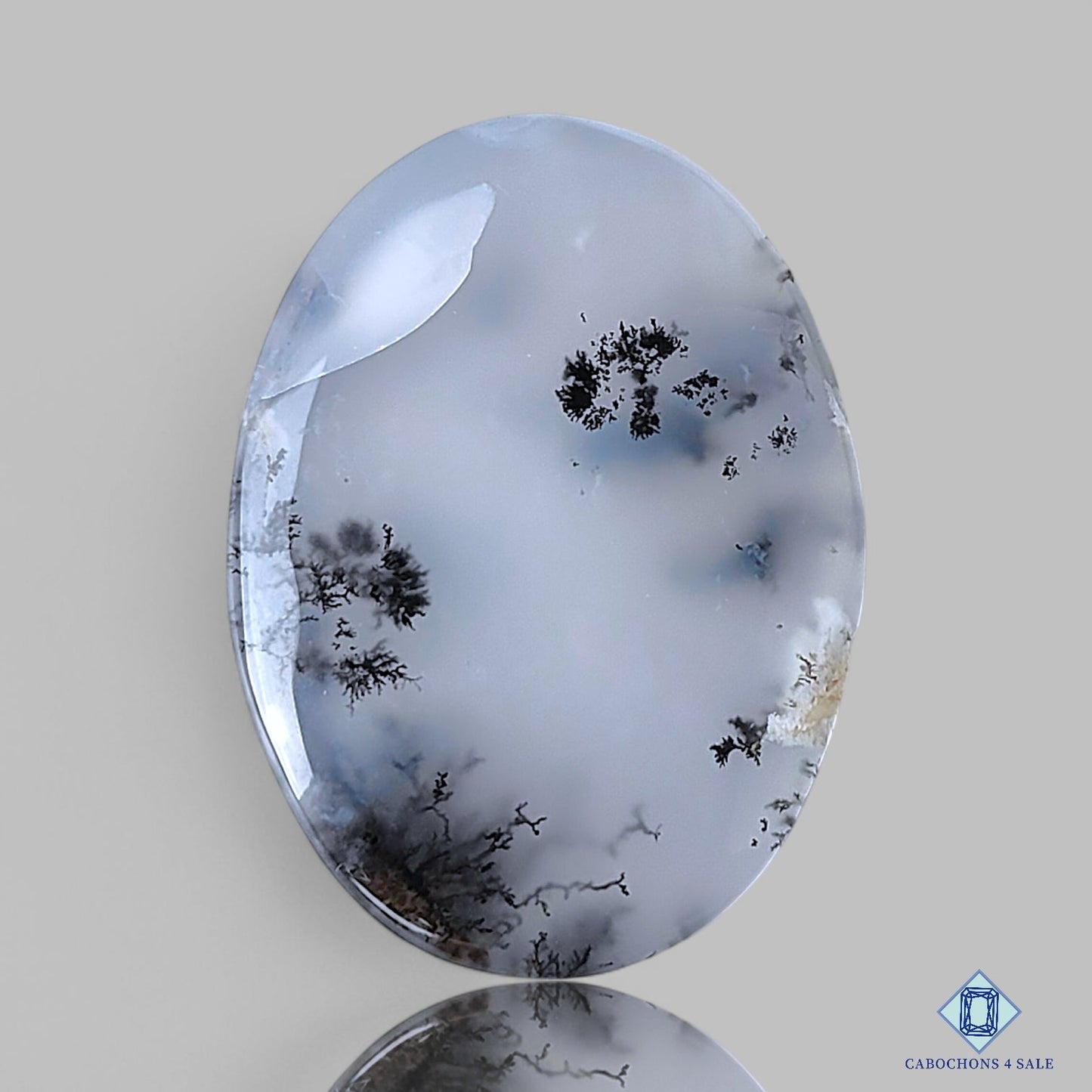 Dendritic Agate