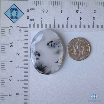 Dendritic Agate