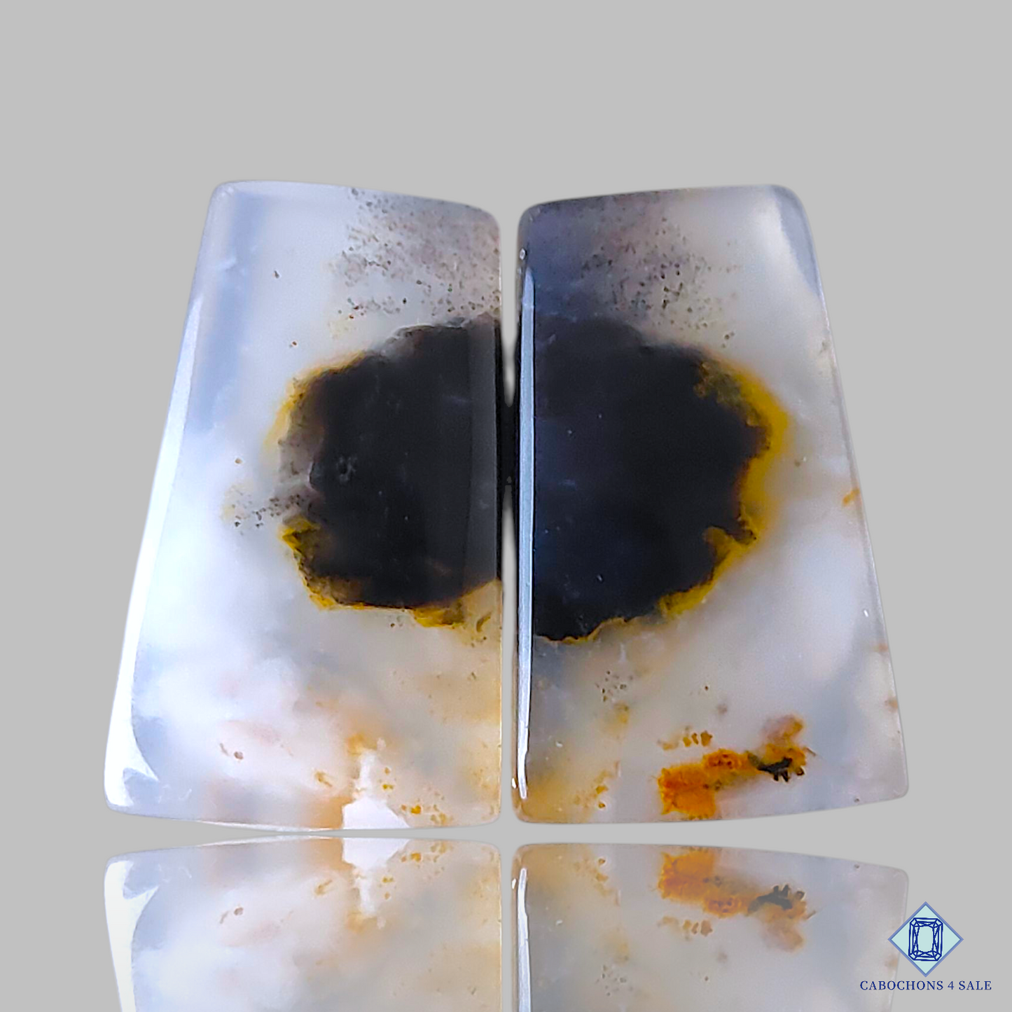 Dendritic Agate