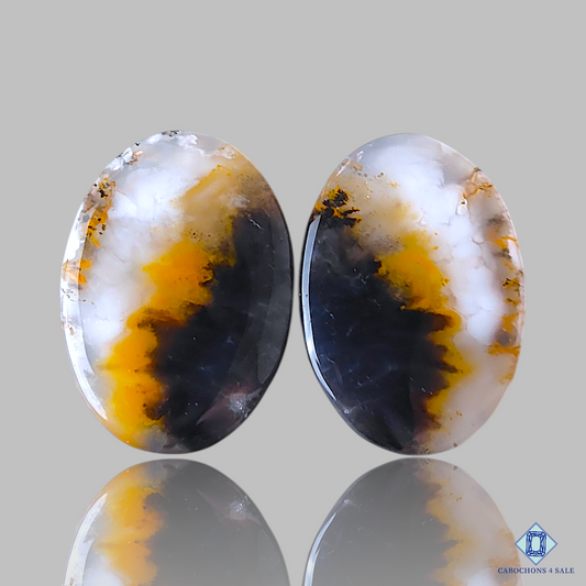 Dendritic Agate